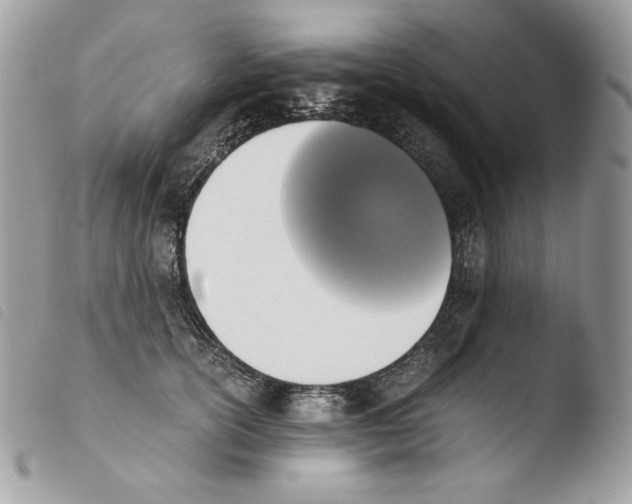 X0000103960754200810171902