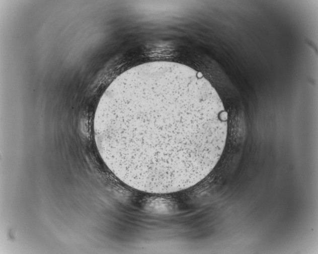 X0000103960755200810171902