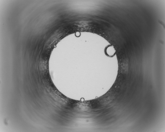 X0000103960756200810171902