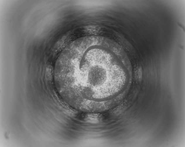 X0000103960757200810171902