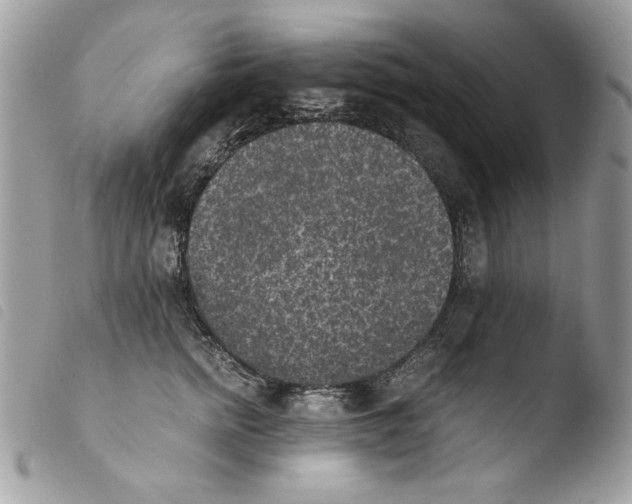 X0000103960758200810171902