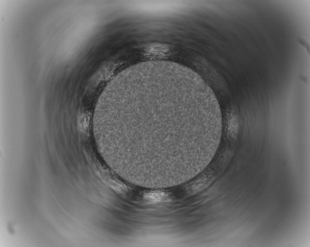 X0000103960759200810171902