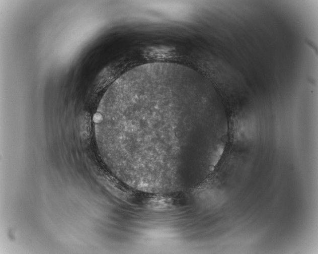 X0000103960760200810171902