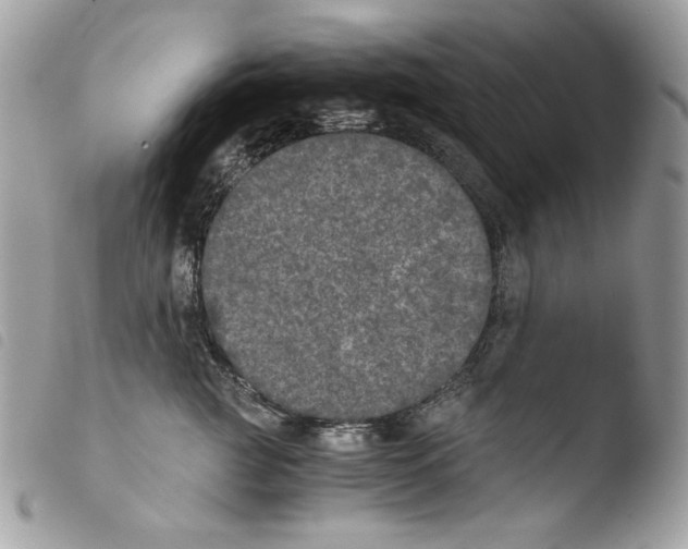 X0000103960761200810171902