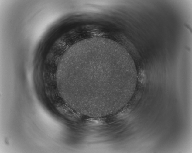 X0000103960763200810171902