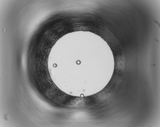 X0000103960764200810171902