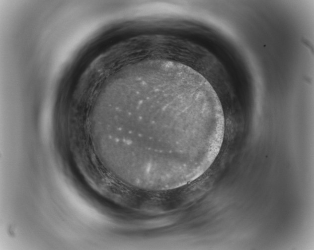 X0000103960765200810171902