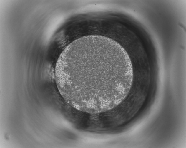 X0000103960766200810171902