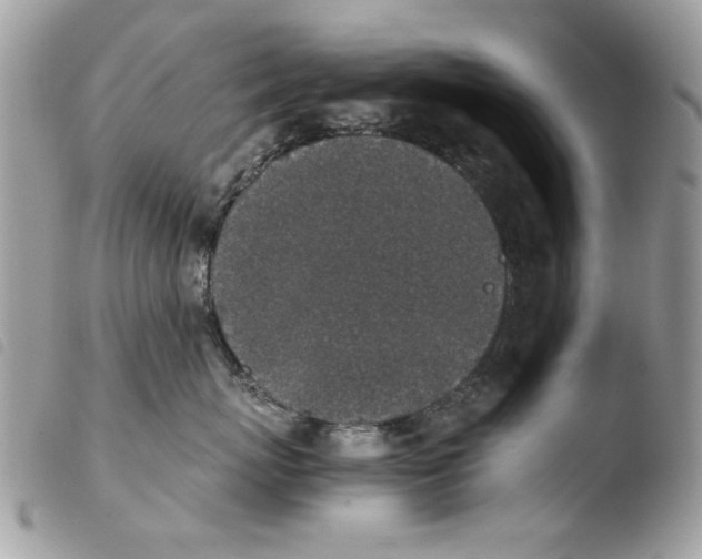 X0000103960767200810171902