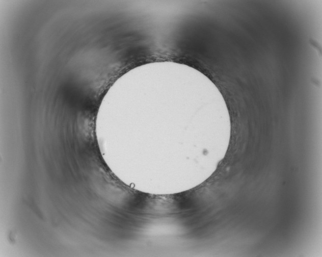 X0000103960768200810171902