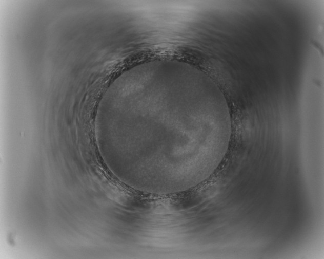 X0000103960769200810171901