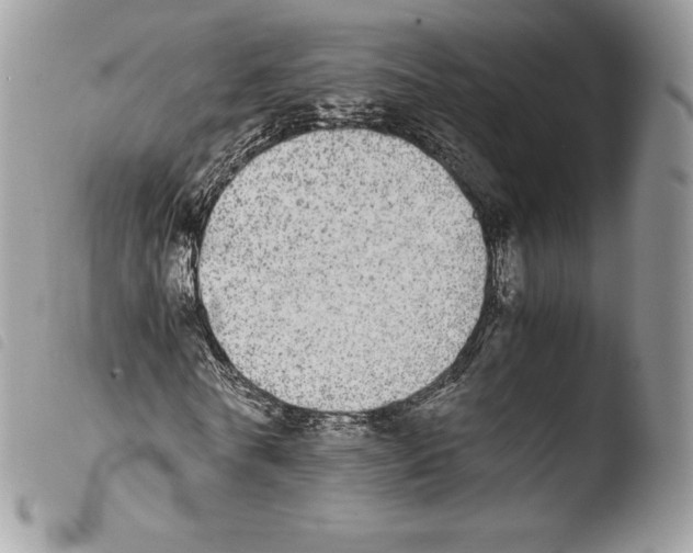 X0000103960770200810171901