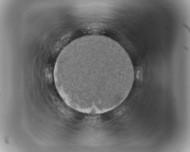 X0000103960771200810171901