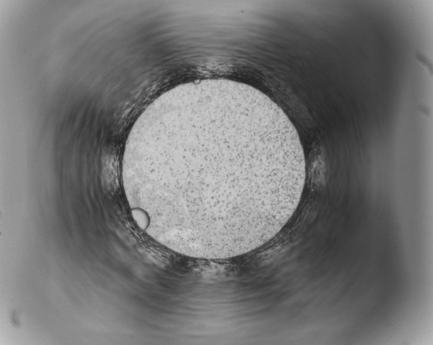 X0000103960772200810171901