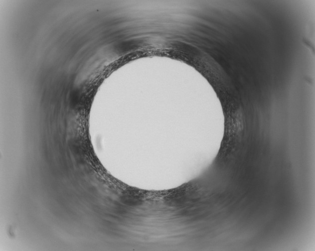 X0000103960773200810171901