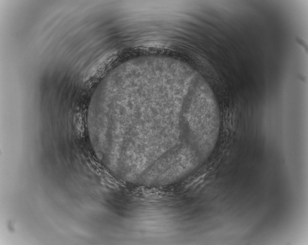 X0000103960774200810171901