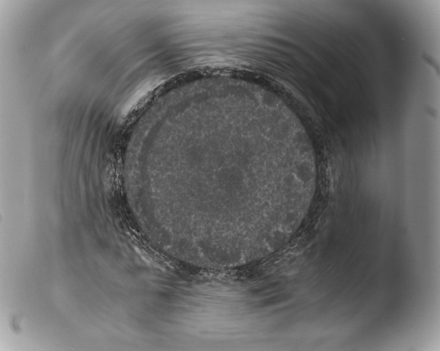 X0000103960775200810171901