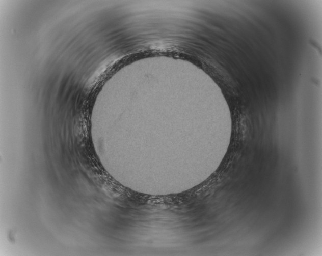 X0000103960776200810171901