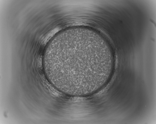 X0000103960777200810171901