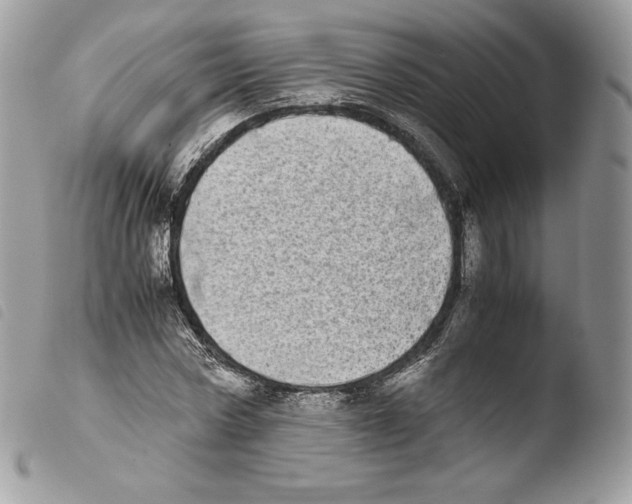 X0000103960778200810171901