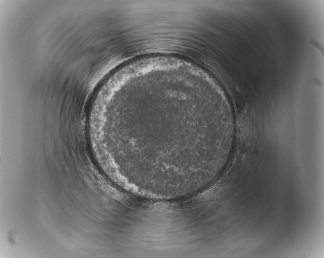 X0000103960779200810171901