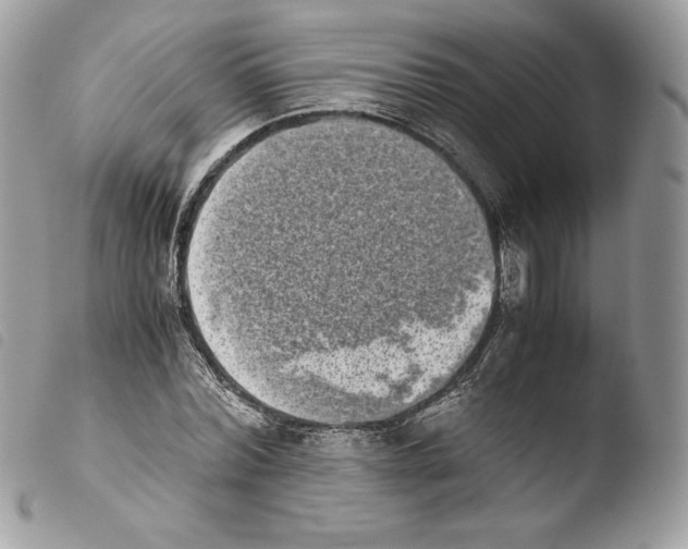 X0000103960780200810171901