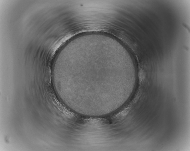 X0000103960781200810171901