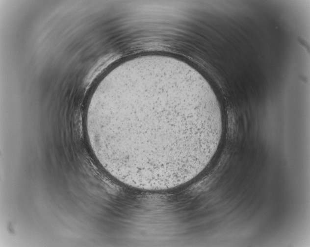 X0000103960782200810171901