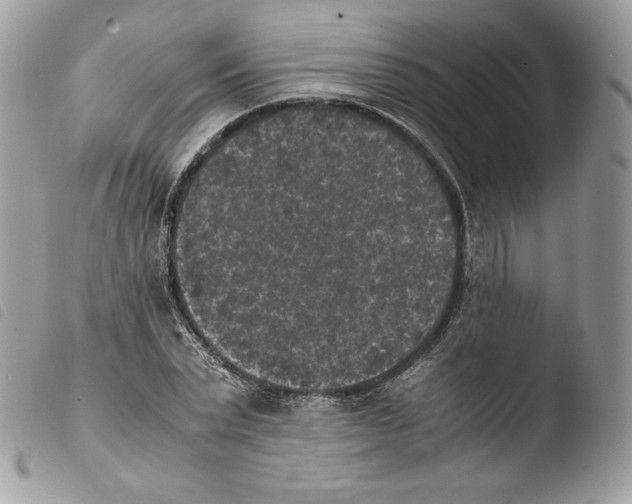 X0000103960783200810171901