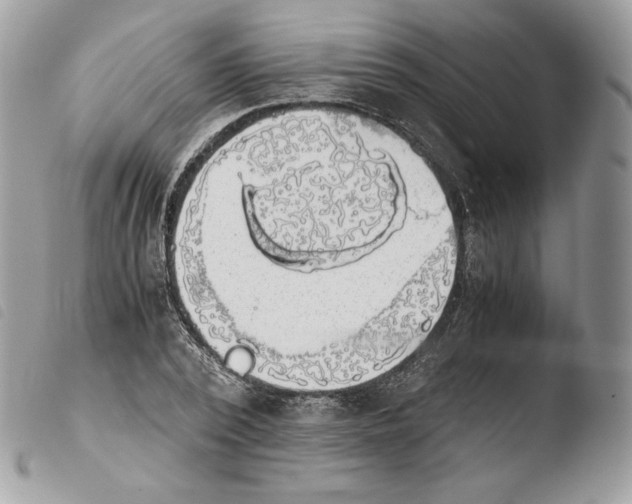 X0000103960784200810171901