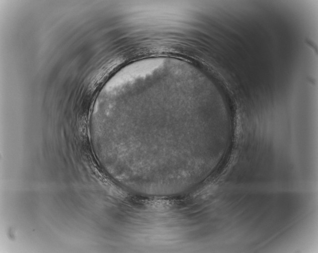 X0000103960785200810171901