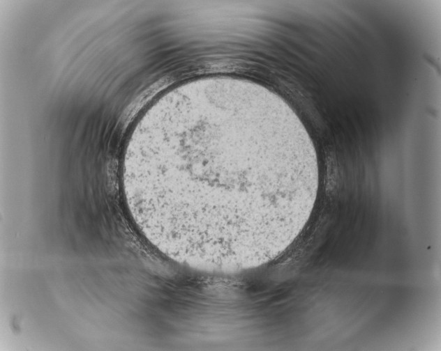 X0000103960786200810171901