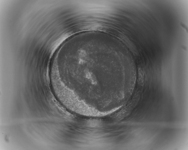 X0000103960788200810171901