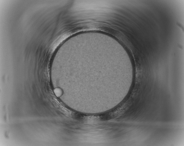 X0000103960789200810171901