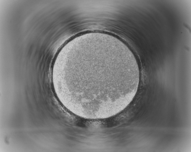 X0000103960791200810171901