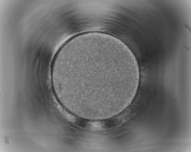 X0000103960792200810171901