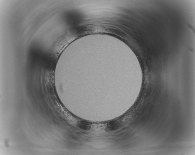 X0000103960793200810171901