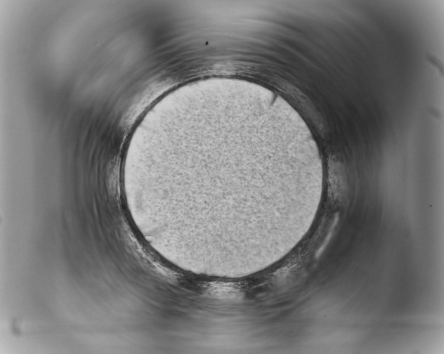 X0000103960794200810171901