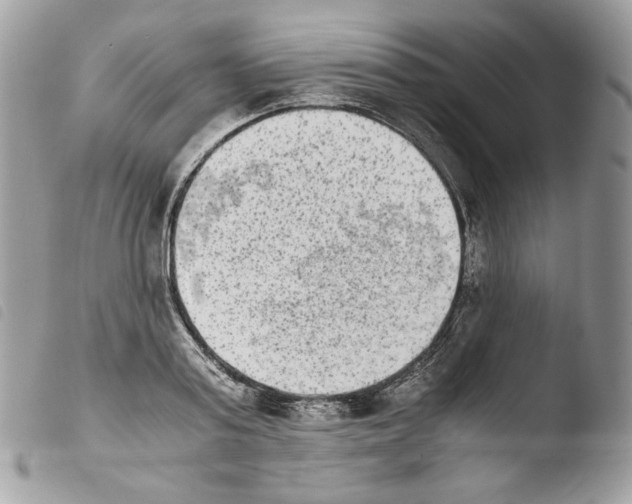 X0000103960795200810171901