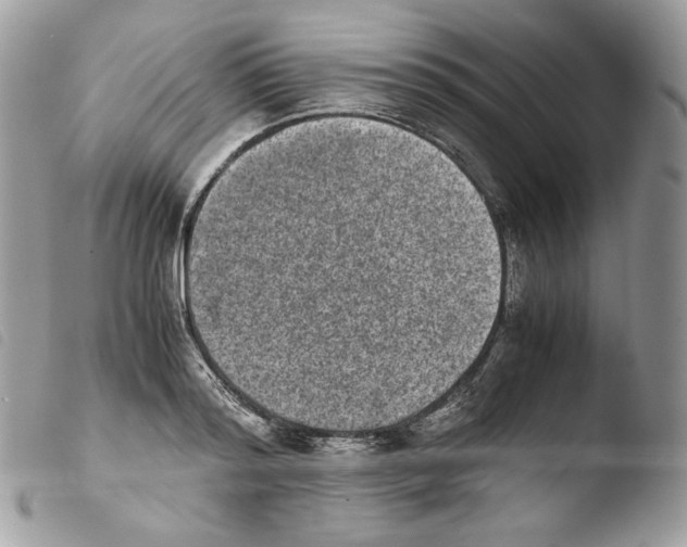 X0000103960796200810171901