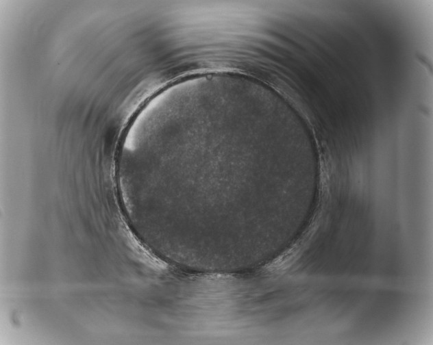 X0000103960797200810171901