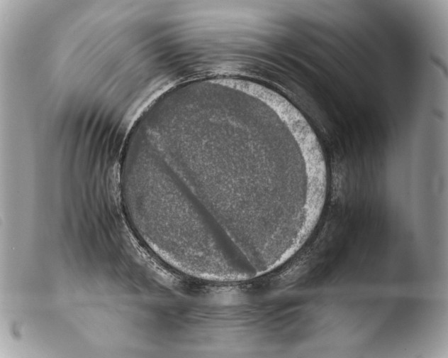 X0000103960798200810171901