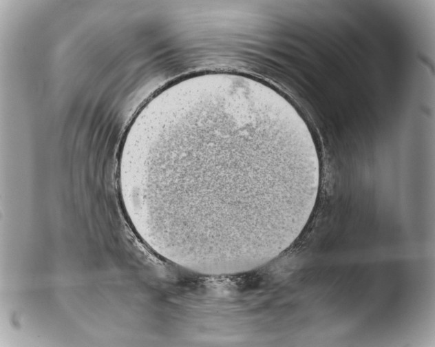 X0000103960799200810171901