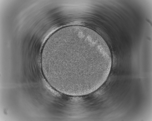 X0000103960800200810171900