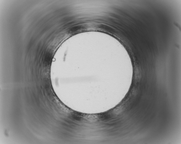 X0000103960801200810171900