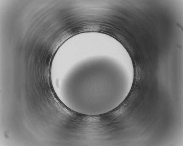 X0000103960802200810171900