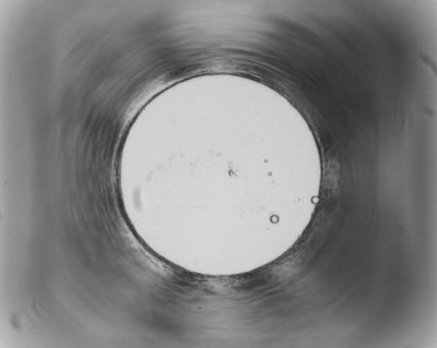 X0000103960803200810171900