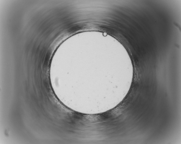 X0000103960805200810171900