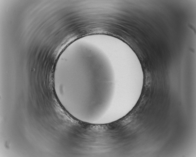 X0000103960806200810171900