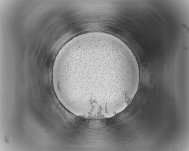 X0000103960807200810171900